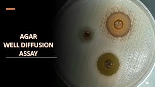 Agar well diffusion assay [upl. by Turley]