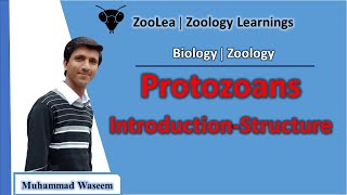 Protozoans IntroductionStructure  ZooLea  Lesson 14  Biology Zoology [upl. by Ahsiyt355]