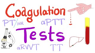 Coagulation Tests  PT aPTT TT Fibrinogen Mixing Studies [upl. by Offen881]