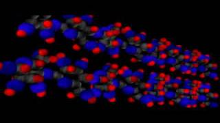 Organic Molecules Carbohydrates  Cell Biology  Biochemistry [upl. by Kelby]