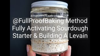 Activating Sourdough Starter amp Building A Levain [upl. by Grosvenor]