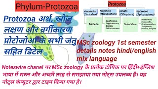 Phylum Protozoa । Protozoa genral characteristics amp classification । Protozoa in hindi [upl. by Ettenuj]