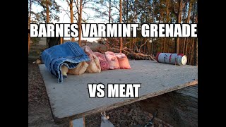 Barnes Varmint Grenade VS Meat [upl. by Ralleigh679]