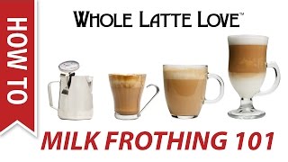 Milk Frothing for Beginners [upl. by Akenehs]