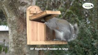 The Wildlife World Squirrel Feeder product in use [upl. by Deckert]