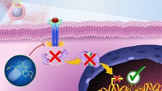 Mechanism of Action of JAK Inhibitors [upl. by Bulley]