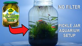 PICKLE JAR AQUARIUM  no filter no heater walstad method setup [upl. by Ramah]