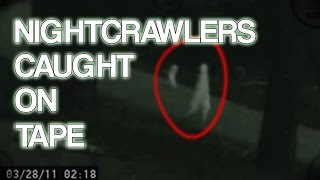 Nightcrawler Creatures Caught on Tape [upl. by Onateyac]