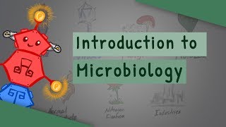 Introduction To Microbiology [upl. by Elleuqar141]