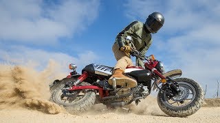 2019 Honda Monkey Review  First Ride [upl. by Leunam84]