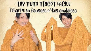 DIY TRICOT ECHARPE FACILE EN FAUSSES CÖTES ANGLAISES LAINE JULIA DE ZEEMAN [upl. by Miah]