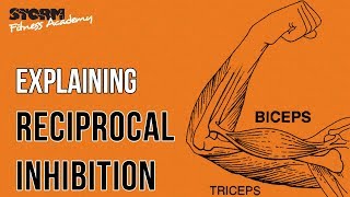 Reciprocal inhibition  Storm Fitness Academy [upl. by Kristel]