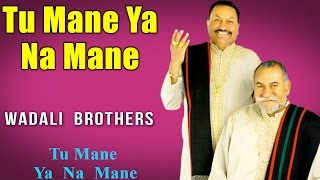 Tu Mane Ya Na Mane Edited version  Wadali Brothers Album Tu Mane Ya Na Mane  Music Today [upl. by Calabrese902]