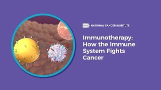 Immunotherapy How the Immune System Fights Cancer [upl. by Odo]