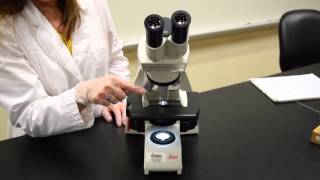 Parts of the Microscope  MCCC Microbiology [upl. by Elreath872]