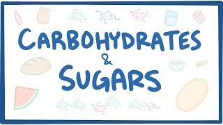 Carbohydrates amp sugars  biochemistry [upl. by Treb]