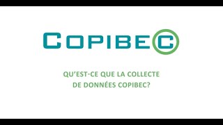 La collecte de données c’est quoi [upl. by Hepsoj]