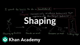 Operant conditioning Shaping  Behavior  MCAT  Khan Academy [upl. by Keven]