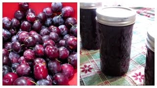 How to make Plum Jam  Canning Done Easy [upl. by Valenza319]