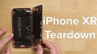 iPhone XR Teardown [upl. by Hultgren530]