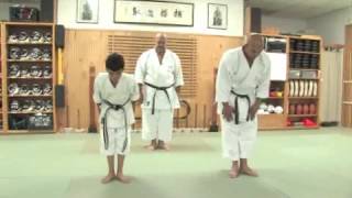 Kata in Okinawan Karate [upl. by Atinev]