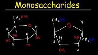 Monosaccharides  Glucose Fructose Galactose amp Ribose  Carbohydrates [upl. by Mylor]