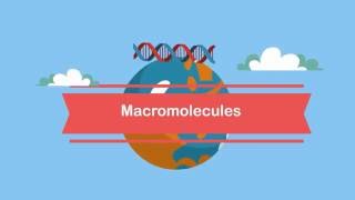 MacromoleculesA Beginners Guide [upl. by Largent117]