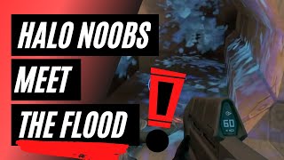 HALO noobs meet the flood FOR THE FIRST TIME  compilation [upl. by Otanod]