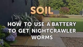 How to Use a Battery to Get Nightcrawler Worms [upl. by Tresa]