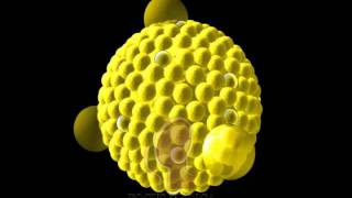 Lipoproteins [upl. by Pagas484]