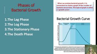 Microbial Nutrition and Growth [upl. by Iniffit]