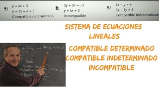 Sistema Lineales Compatible Determinados e Indeterminados e Incompatibles [upl. by Hoffer]