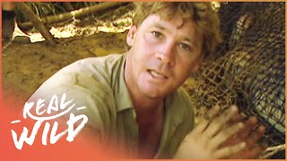 Steve Irwins Biggest Crocodile Battles Wildlife Documentary  Real Wild [upl. by Seitz]