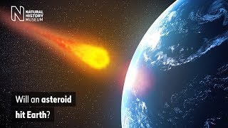 Will an asteroid hit Earth  Natural History Museum [upl. by Ecilegna]