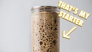 The Ultimate Sourdough Starter Guide [upl. by Ariajay876]