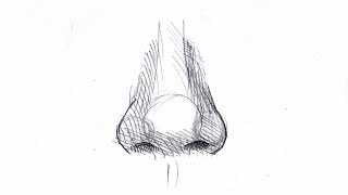 HOW TO DRAW A NOSE Step by step guide for beginners [upl. by Mundy489]