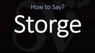 How to Pronounce Storge CORRECTLY LOVE Meaning amp Pronunciation [upl. by Sarine]