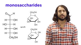 Types of Carbohydrates Explained [upl. by Zakarias]