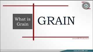 What is Grain in Data warehouse [upl. by Maximilian]