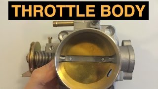 Throttle Body  Explained [upl. by Cis645]