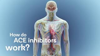 How do ACE inhibitors work [upl. by Anaud]