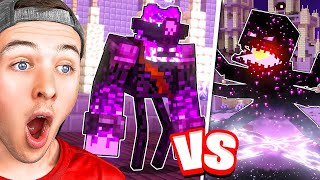 The Most Insane END BATTLE In Minecraft ANIMATION [upl. by Bobbye]