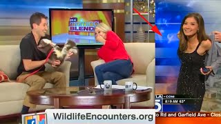 Funniest TV News Bloopers of 2021 [upl. by Gemoets]